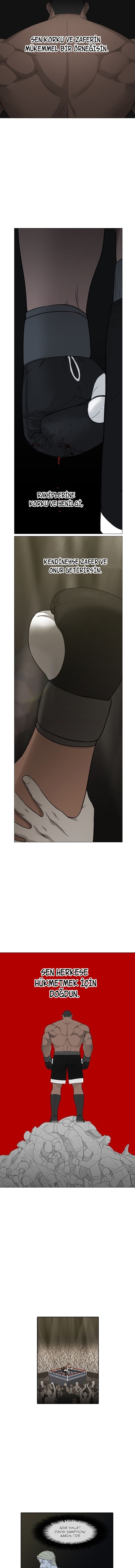 Read The Boxer tr Manga Online
