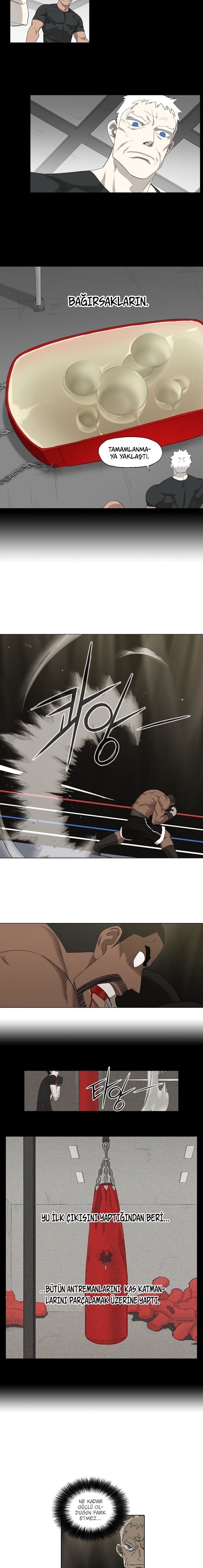 Read The Boxer tr Manga Online