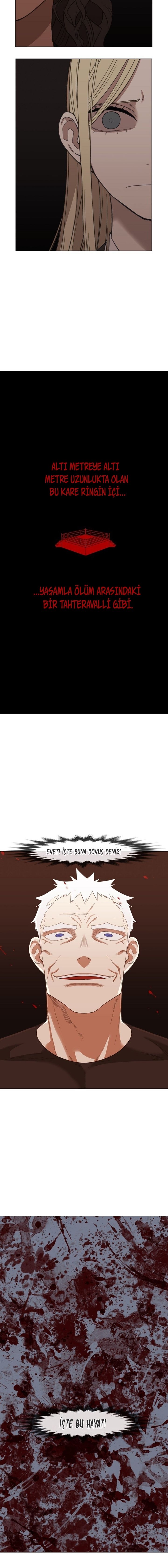 Read The Boxer tr Manga Online