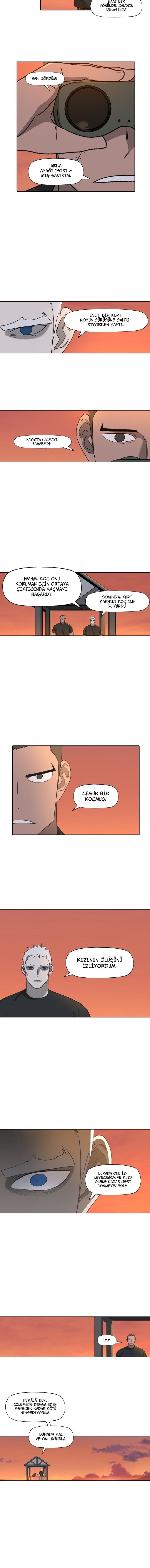 Read The Boxer tr Manga Online