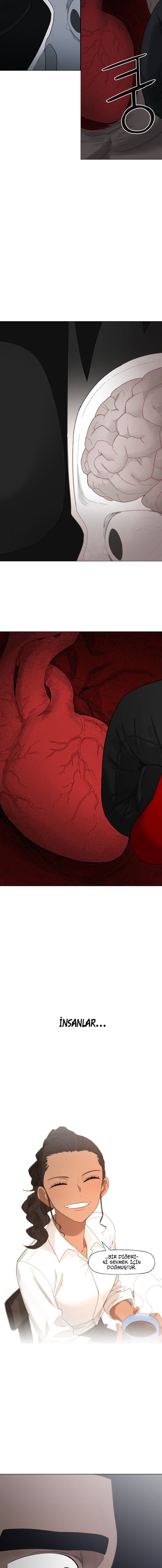 Read The Boxer tr Manga Online
