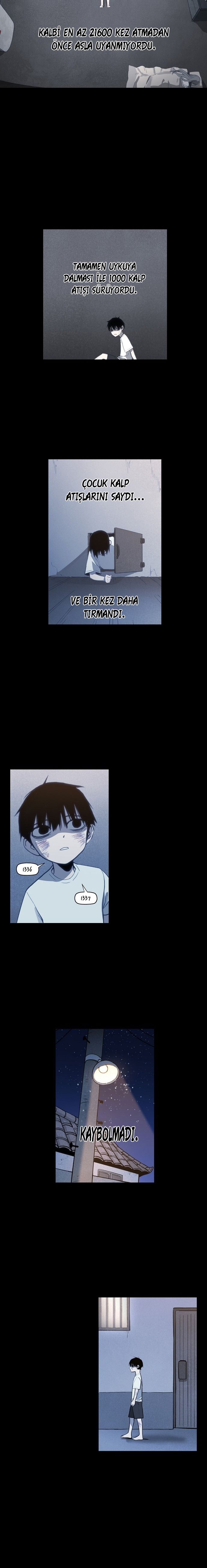 Read The Boxer tr Manga Online