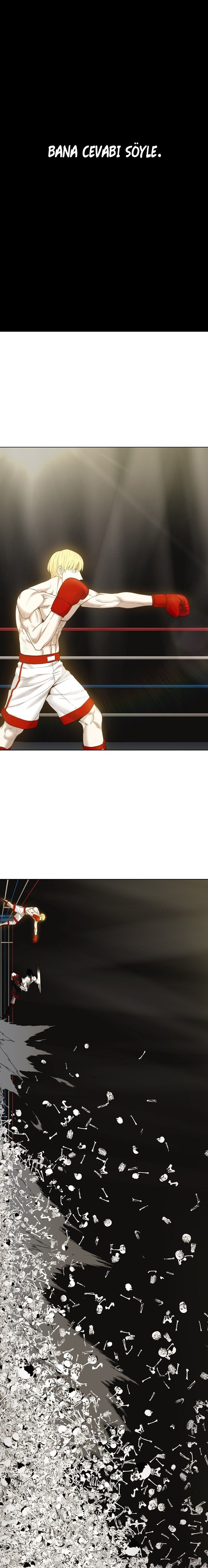 Read The Boxer tr Manga Online