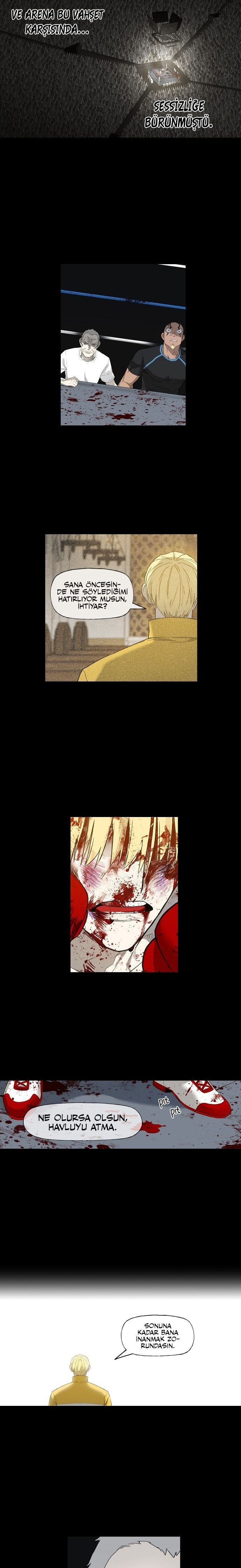Read The Boxer tr Manga Online